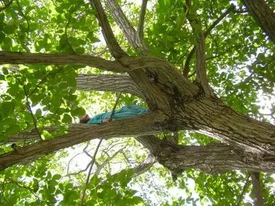 Climbing up primary.jpg