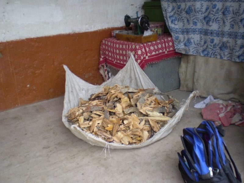 Burushaski Language Services